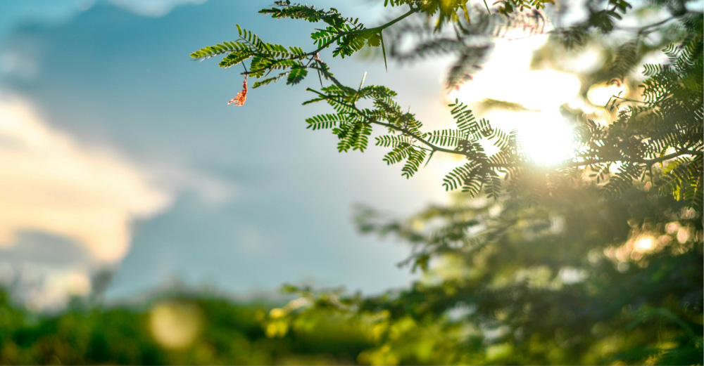 環境対策の取り組みについて